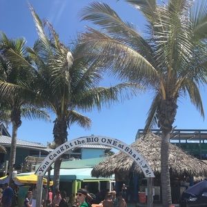 Meet your Posher, Maya